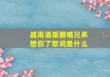 越南语版翻唱兄弟想你了歌词是什么