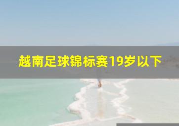 越南足球锦标赛19岁以下