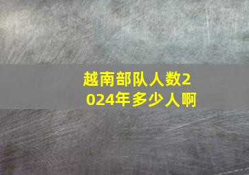 越南部队人数2024年多少人啊