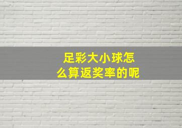 足彩大小球怎么算返奖率的呢