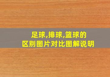 足球,排球,篮球的区别图片对比图解说明