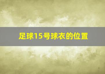 足球15号球衣的位置