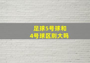 足球5号球和4号球区别大吗