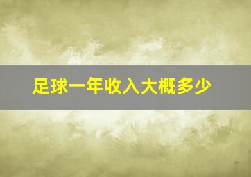 足球一年收入大概多少