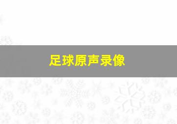 足球原声录像