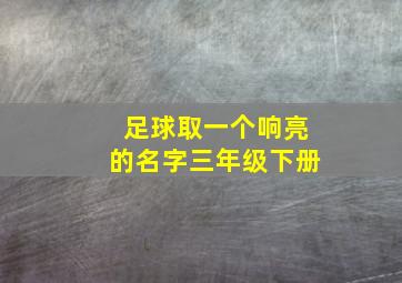 足球取一个响亮的名字三年级下册