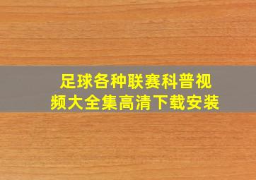 足球各种联赛科普视频大全集高清下载安装