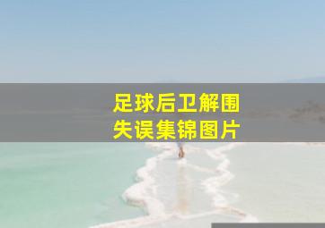 足球后卫解围失误集锦图片