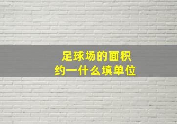 足球场的面积约一什么填单位