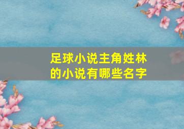 足球小说主角姓林的小说有哪些名字