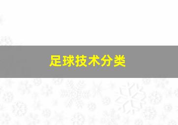 足球技术分类