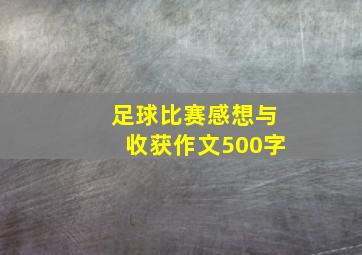 足球比赛感想与收获作文500字