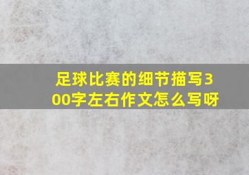 足球比赛的细节描写300字左右作文怎么写呀