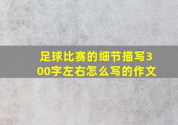 足球比赛的细节描写300字左右怎么写的作文