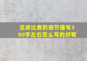 足球比赛的细节描写300字左右怎么写的好呢