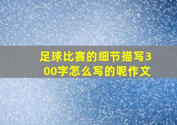 足球比赛的细节描写300字怎么写的呢作文