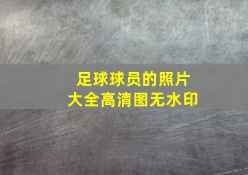 足球球员的照片大全高清图无水印