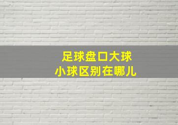 足球盘口大球小球区别在哪儿