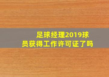 足球经理2019球员获得工作许可证了吗