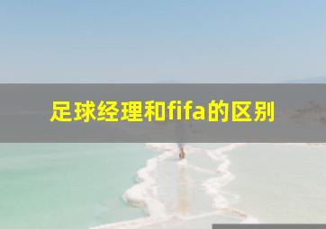 足球经理和fifa的区别