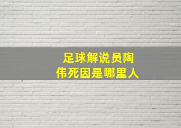 足球解说员陶伟死因是哪里人