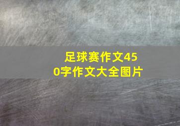 足球赛作文450字作文大全图片