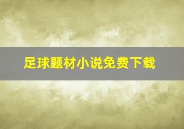 足球题材小说免费下载