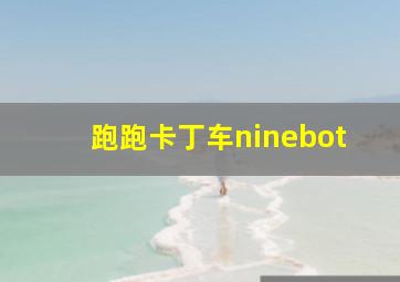 跑跑卡丁车ninebot