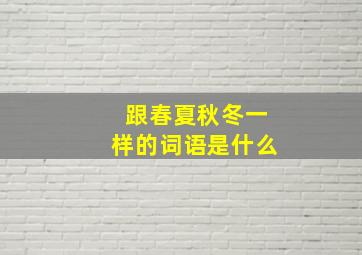 跟春夏秋冬一样的词语是什么