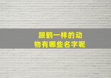 跟鹤一样的动物有哪些名字呢