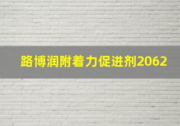 路博润附着力促进剂2062