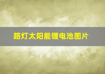 路灯太阳能锂电池图片