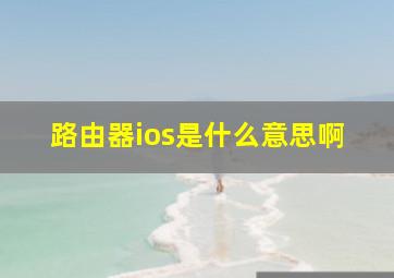 路由器ios是什么意思啊