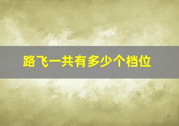 路飞一共有多少个档位