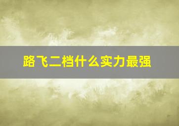 路飞二档什么实力最强