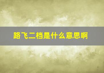 路飞二档是什么意思啊