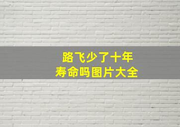 路飞少了十年寿命吗图片大全