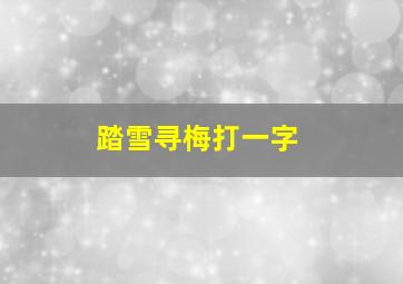 踏雪寻梅打一字