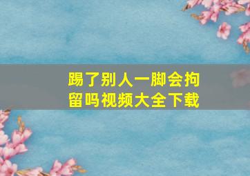 踢了别人一脚会拘留吗视频大全下载