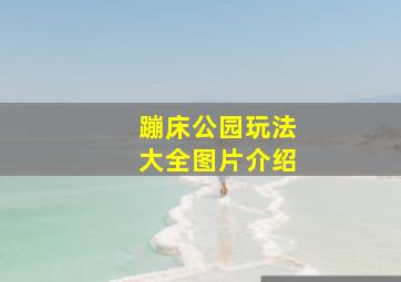 蹦床公园玩法大全图片介绍