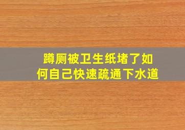 蹲厕被卫生纸堵了如何自己快速疏通下水道