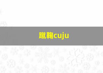 蹴鞠cuju