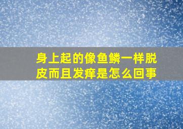 身上起的像鱼鳞一样脱皮而且发痒是怎么回事