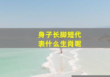 身子长脚短代表什么生肖呢