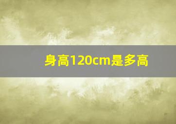 身高120cm是多高