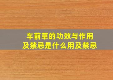 车前草的功效与作用及禁忌是什么用及禁忌