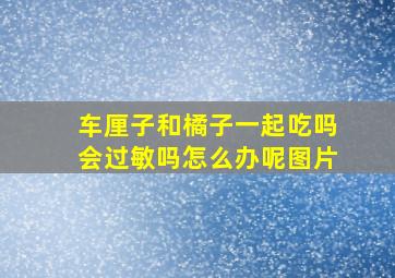 车厘子和橘子一起吃吗会过敏吗怎么办呢图片