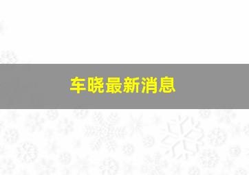 车晓最新消息