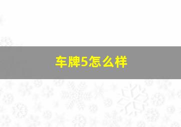 车牌5怎么样