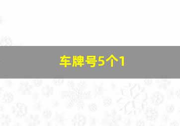 车牌号5个1